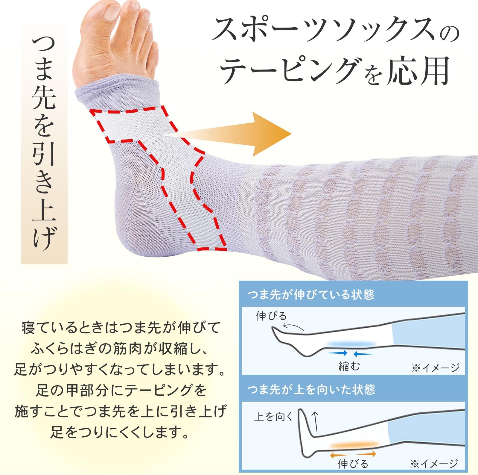 Amazon | コモライフ 心地よいツラナインサポーター 1足(2枚入) 足